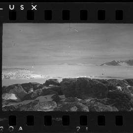 Survey Negatives - TAE - Book #1