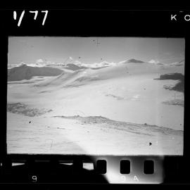 Survey Negatives - TAE - Book #1