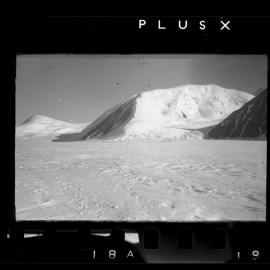 Survey Negatives - TAE - Book #1