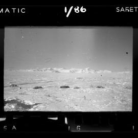 Survey Negatives - TAE - Book #1