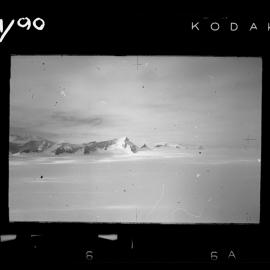 Survey Negatives - TAE - Book #1