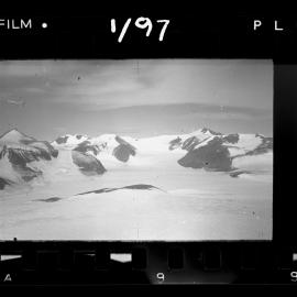 Survey Negatives - TAE - Book #1