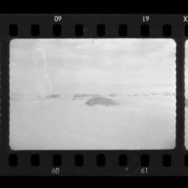 Southern Party, Mawson/Priertley 1962/63