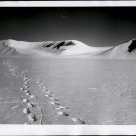 NZ Alpine Club - Hood Glacier Baseline S End