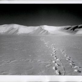 NZ Alpine Club - Hood Glacier Baseline S End