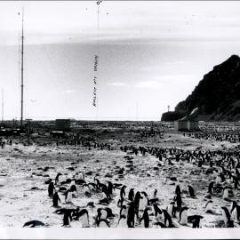 NZ Geological Survey and Antarctic Expedition 1957-58 - OIS III at Hallett Base