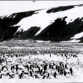 NZ Geological Survey and Antarctic Expedition 1957-58 - OIS III at Hallett Base