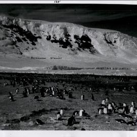 NZ Geological Survey and Antarctic Expedition 1957-58 - OIS III at Hallett Base