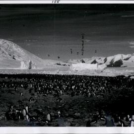 NZ Geological Survey and Antarctic Expedition 1957-58 - OIS III at Hallett Base