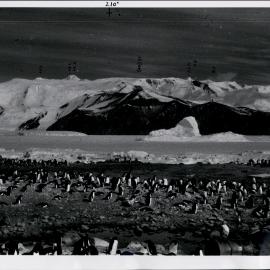 NZ Geological Survey and Antarctic Expedition 1957-58 - OIS III at Hallett Base