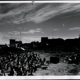 NZ Geological Survey and Antarctic Expedition 1957-58 - OIS III at Hallett Base