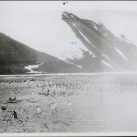 NZ Geological Survey and Antarctic Expedition 1957-58 - OIS I Hallett No. 1