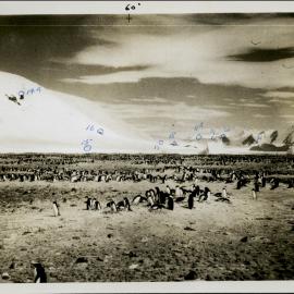 NZ Geological Survey and Antarctic Expedition 1957-58 - OIS I Hallett No. 1