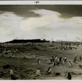 NZ Geological Survey and Antarctic Expedition 1957-58 - OIS I Hallett No. 1