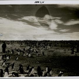 NZ Geological Survey and Antarctic Expedition 1957-58 - OIS I Hallett No. 1