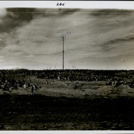 NZ Geological Survey and Antarctic Expedition 1957-58 - OIS I Hallett No. 1