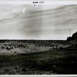 NZ Geological Survey and Antarctic Expedition 1957-58 - OIS I Hallett No. 1