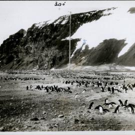 NZ Geological Survey and Antarctic Expedition 1957-58 - OIS I Hallett No. 1