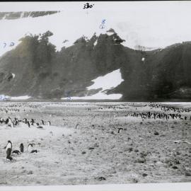 NZ Geological Survey and Antarctic Expedition 1957-58 - OIS I Hallett No. 1