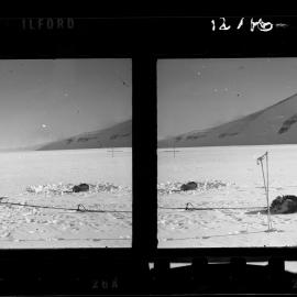 NZ Geological Survey and Antarctic Expedition  1958-59