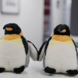 PM visit to Antarctica New Zealand, April 2016 (visit date was 14 April 2016)