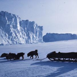 Icebergs near Cape Evans