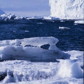 Ice Cliffs North End Cape Bird