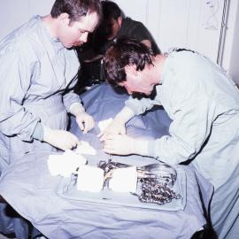 Husky operation