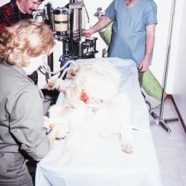 Husky operation