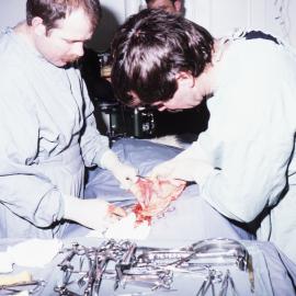 Husky operation