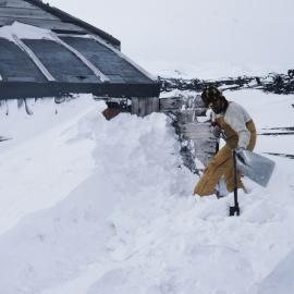 Chris Adams shovelling snow from entrance of Scott's Hutt, Cape Evans