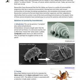 Life in the Extreme Environment of Antarctica, Year 9 (Level 5)