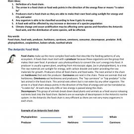 The Antarctic Food Web, Year 5 & 6 (Level 3 & 4)