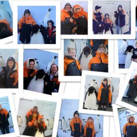 Collage of photos from the International Antarctic Center