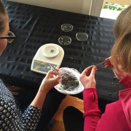 2016 NZARI winter school participants