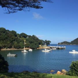 2016 NZARI winter school 