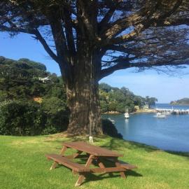 2016 NZARI winter school 