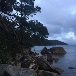 2016 NZARI winter school 
