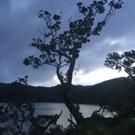 2016 NZARI winter school 