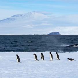 TEDxScottBase Launch