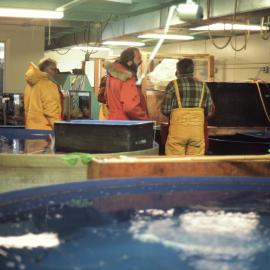 McMurdo Station Aquarium