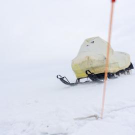 Skidoo 