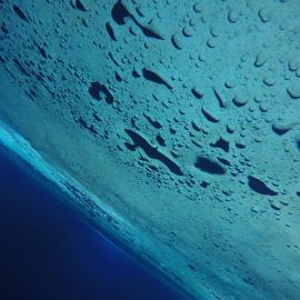 Under the Sea Ice 