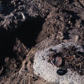 Rubbish/ soil -Vanda Greywater gully