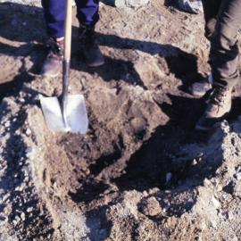 "Soil" -greawater gully Vanda