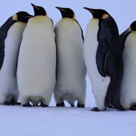 Five Emperors