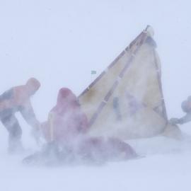 Snow Storm 