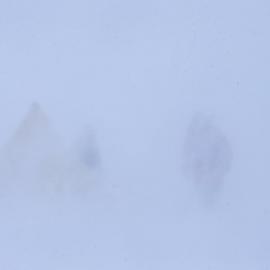 Snow storm 