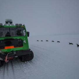 Hagglund and Emperors 