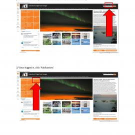 Navigating the Publications Database: Part One
